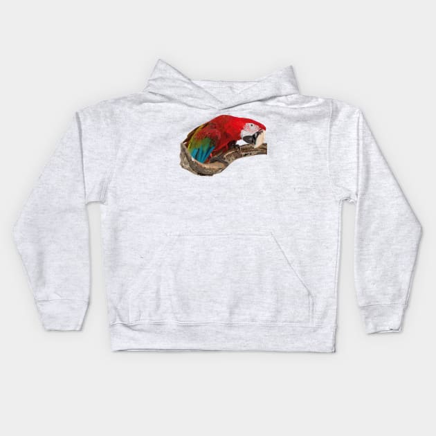 Red-and-green Macaw Kids Hoodie by obscurite